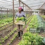 istockphoto 1325265220 1024x1024